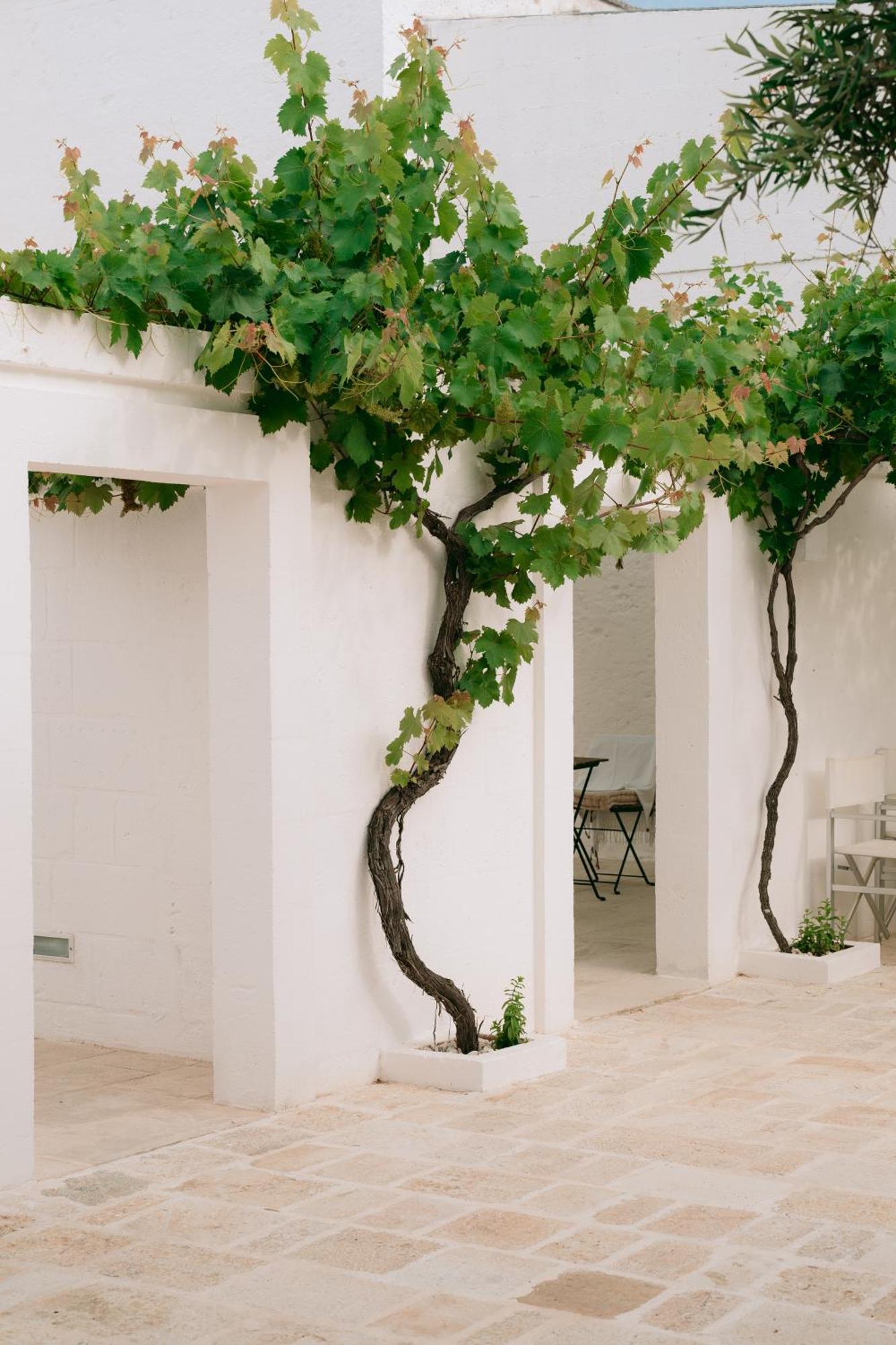 Oltre Gli Ulivi Panzió Ostuni Kültér fotó