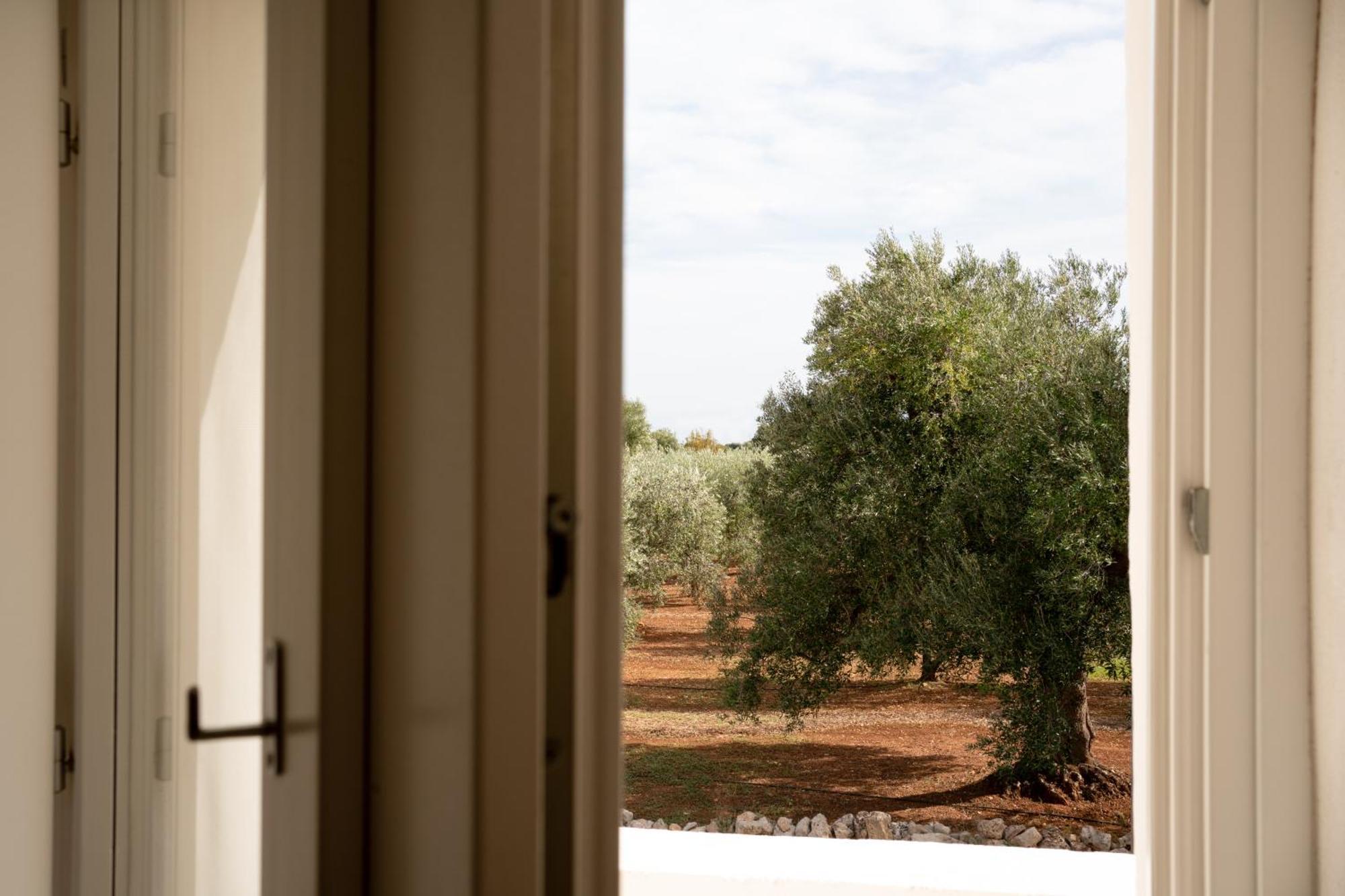 Oltre Gli Ulivi Panzió Ostuni Kültér fotó
