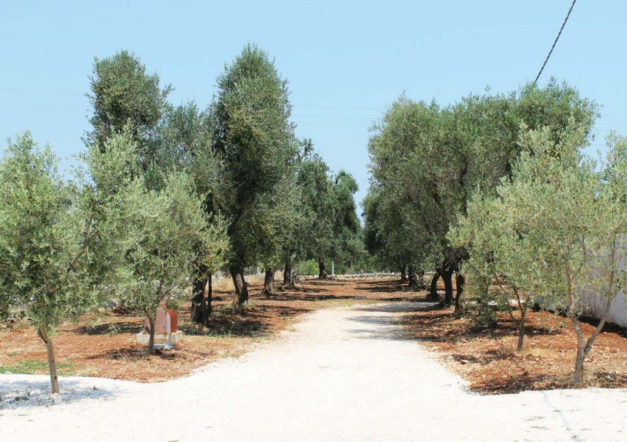 Oltre Gli Ulivi Panzió Ostuni Kültér fotó
